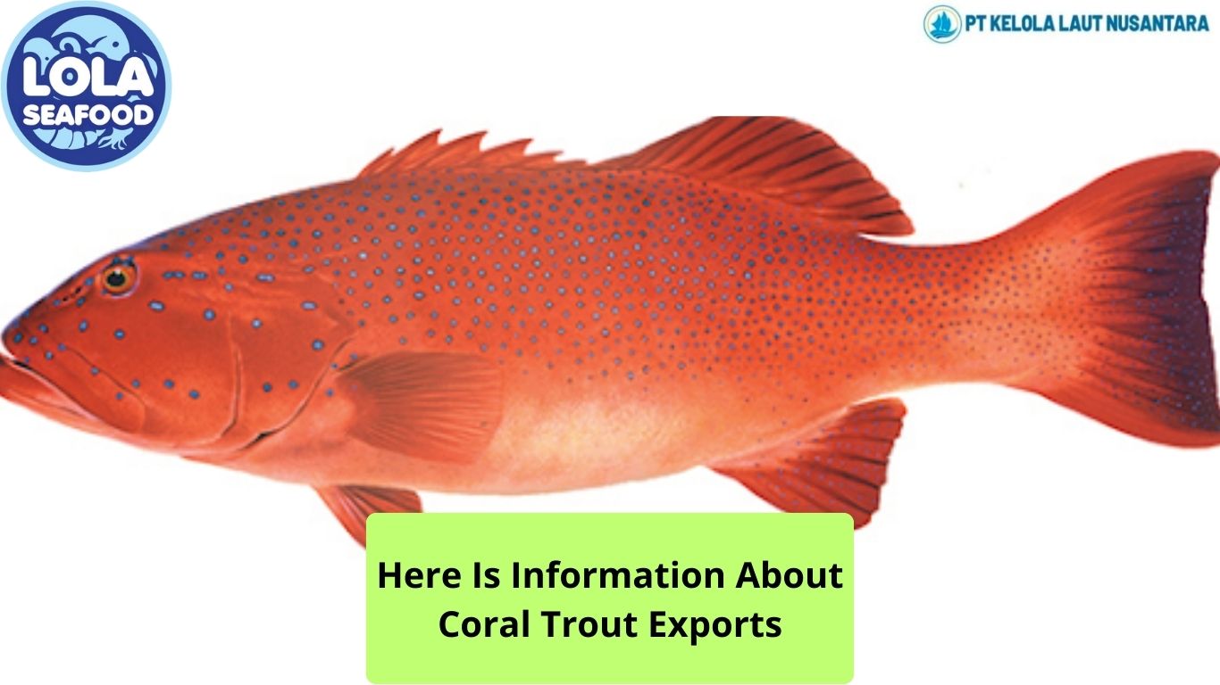 Here Is Information About Coral Trout Exports